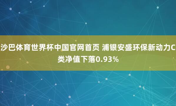 沙巴体育世界杯中国官网首页 浦银安盛环保新动力C类净值下落0.93%