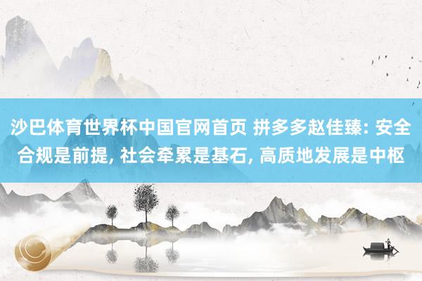 沙巴体育世界杯中国官网首页 拼多多赵佳臻: 安全合规是前提, 社会牵累是基石, 高质地发展是中枢