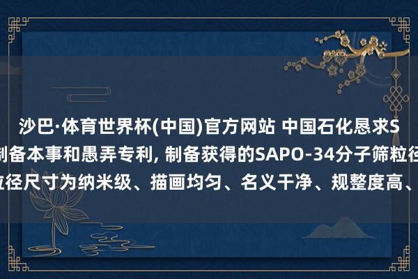 沙巴·体育世界杯(中国)官方网站 中国石化恳求SAPO-34分子筛额外制备本事和愚弄专利, 制备获得的SAPO-34分子筛粒径尺寸为纳米级、描画均匀、名义干净、规整度高、制备操作节略、绿色环保
