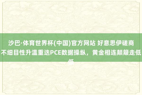 沙巴·体育世界杯(中国)官方网站 好意思伊磋商不细目性升温重迭PCE数据操纵,黄金相连颠簸走低