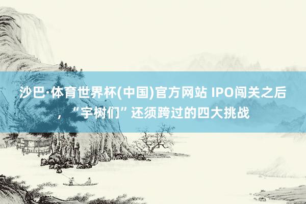 沙巴·体育世界杯(中国)官方网站 IPO闯关之后,“宇树们”还须跨过的四大挑战