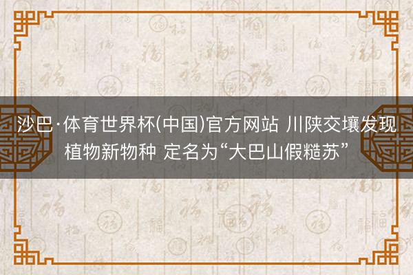 沙巴·体育世界杯(中国)官方网站 川陕交壤发现植物新物种 定名为“大巴山假糙苏”