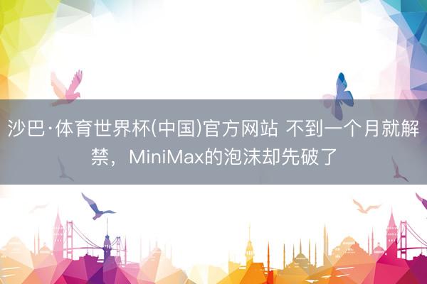 沙巴·体育世界杯(中国)官方网站 不到一个月就解禁,MiniMax的泡沫却先破了
