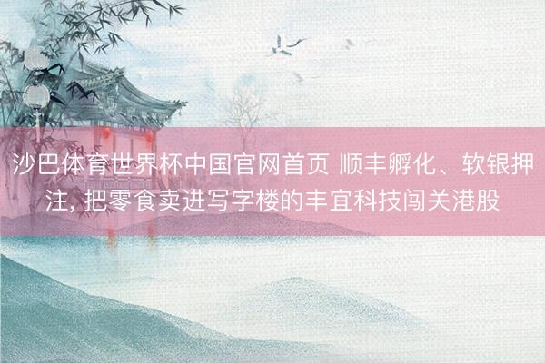 沙巴体育世界杯中国官网首页 顺丰孵化、软银押注, 把零食卖进写字楼的丰宜科技闯关港股