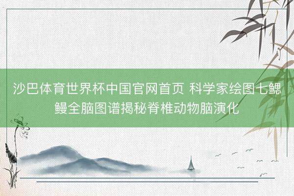 沙巴体育世界杯中国官网首页 科学家绘图七鳃鳗全脑图谱揭秘脊椎动物脑演化